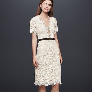 DB STUDIO Illusion Lace Shift Dress
